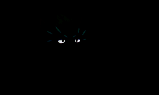 石刺蜥相关图片4