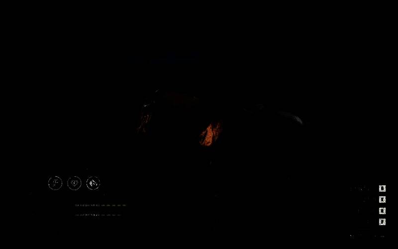 荒野大镖客2荷兰温血马相关图片2