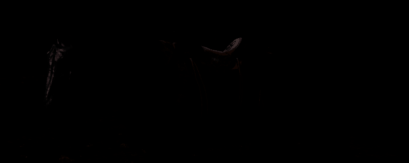 《荒野大镖客2》密苏里狐步马相关图片1