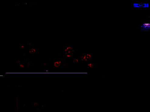 右键点击分割素材的操作图片
