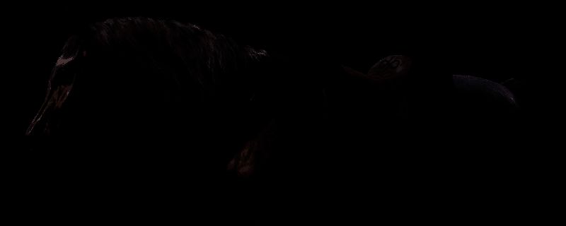 荒野大镖客2阿拉伯马相关图片1