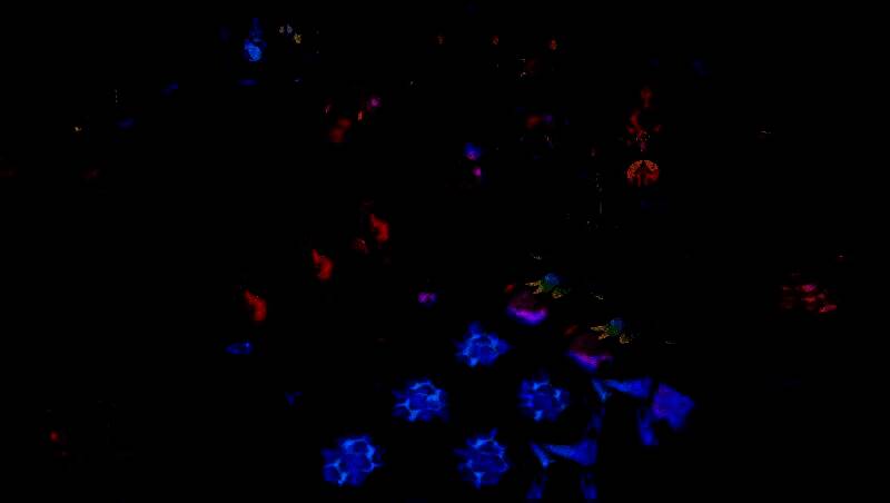 《恐龙小当家》游戏画面2