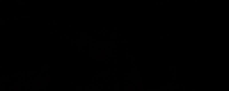 《荒野大镖客2》半自动手枪相关画面1