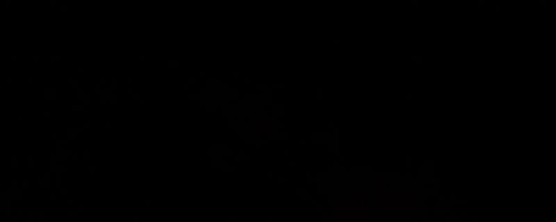 《荒野大镖客2》斯科菲尔德左轮相关图片1