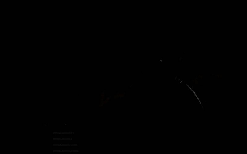 《荒野大镖客2》斯科菲尔德左轮相关图片6