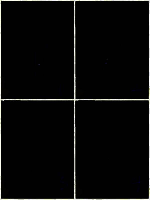 观察电极管发电顺序