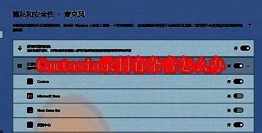 Camtasia相关图片1