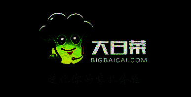 大白菜超级 U 盘启动制作工具相关界面图片