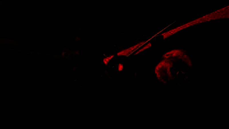 《禁闭求生2》相关画面1