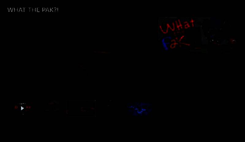 《WHAT THE PAK?!》游戏宣传图1