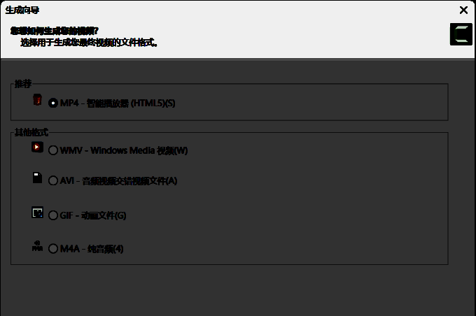 Camtasia导出视频格式选择相关图片