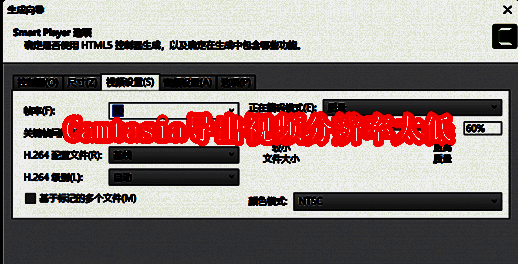 Camtasia相关配图1