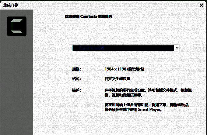 勾选自定义生成设置界面
