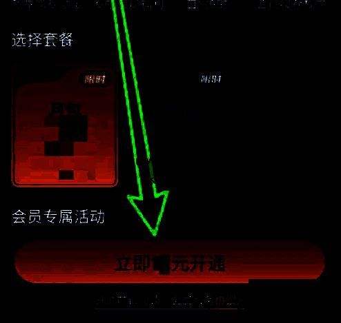立即开通并支付步骤截图