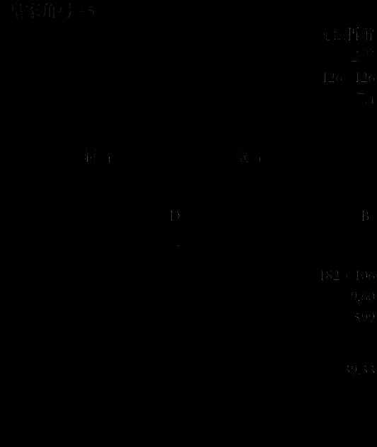 皇家角弓实机演示与最终版本对比相关图片