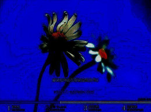 系统自动安装界面图