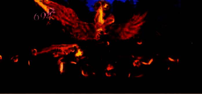 邪火凤凰武魂展示图