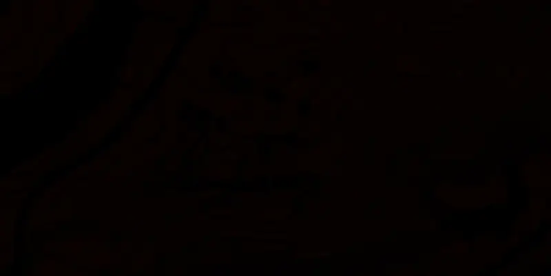 荒野大镖客2地图第一个含金条位置示意2