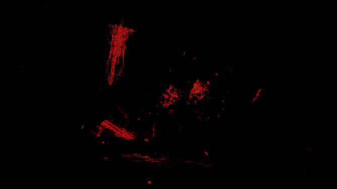 《艾尔登法环：黑夜君临》游戏画面