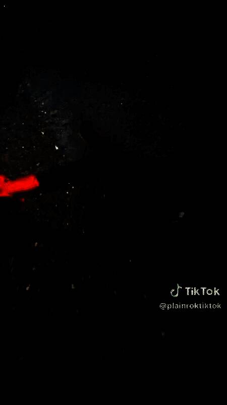 国外博主暴力打砸Switch2主机现场