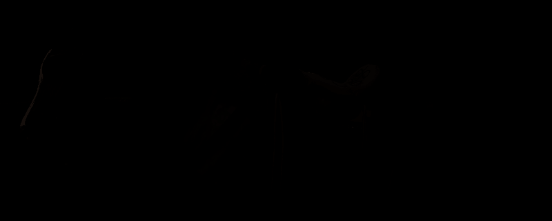 《荒野大镖客2》阿拉伯马相关图片1