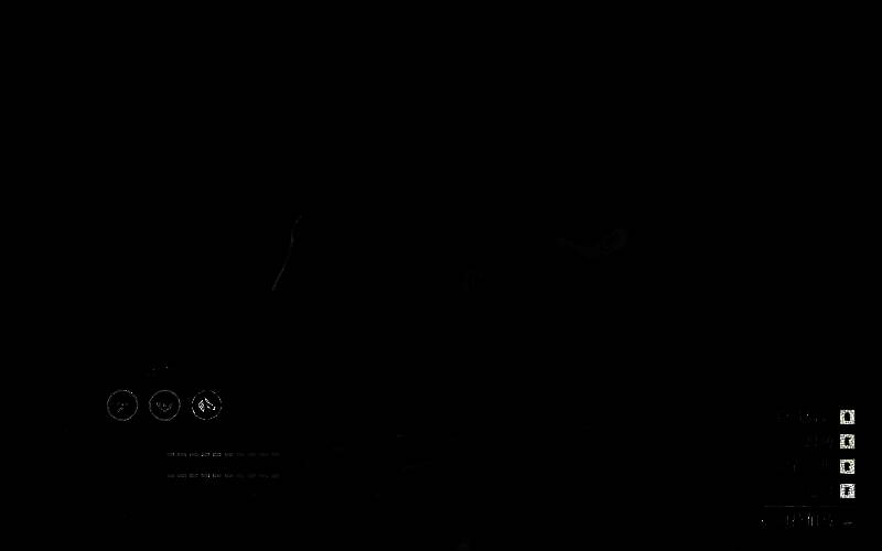 《荒野大镖客2》阿拉伯马玫瑰灰骝色外观图