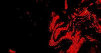 红霸霸战斗场景配图