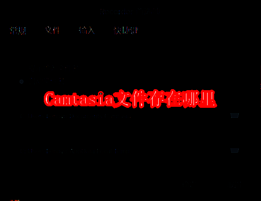 Camtasia相关展示图1