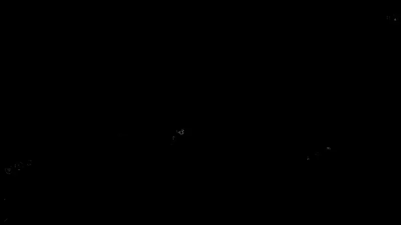 荒野大镖客2打猎动物示例图1