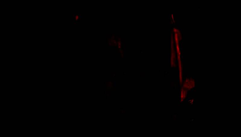 《堡垒之夜》相关画面或活动场景图片