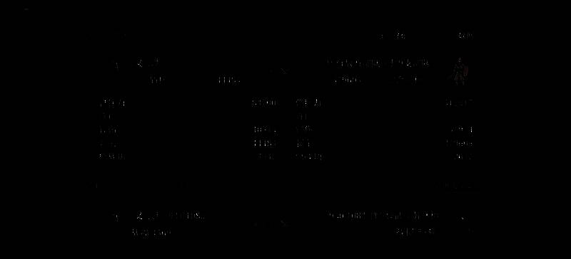 魏国虎卫反击盾阵容打架战报图1