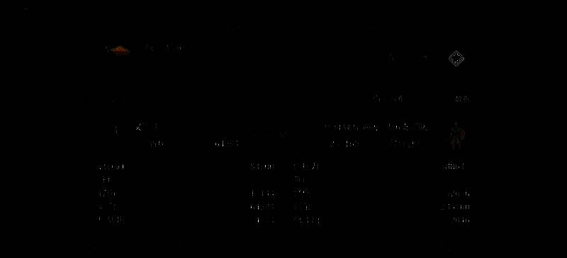 魏国虎卫反击盾阵容打架战报图3