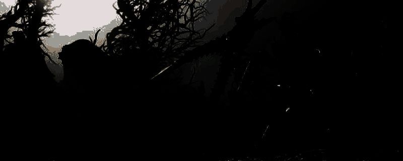 《致命躯壳2》相关游戏画面