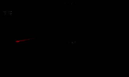 选择下载选项页面截图