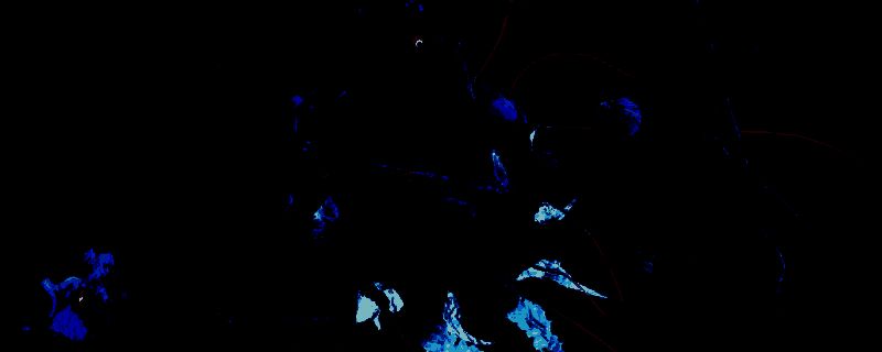 噬血代码2相关图片1