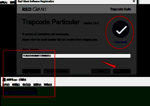 Particular插件激活成功后的状态指示图标变化