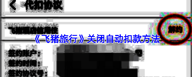 支付宝主界面示意图，显示‘我的’页面及设置入口