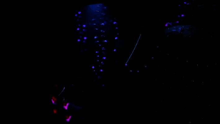 游戏内环境展示图，展现手工打造的独特美术风格