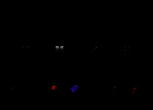 闪电权杖第七阶段改造界面，展示雷霆之握装配过程