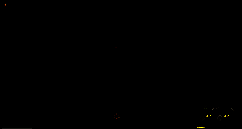 白色獠牙双刀展示图，角色手持银白色双刀，动态感十足