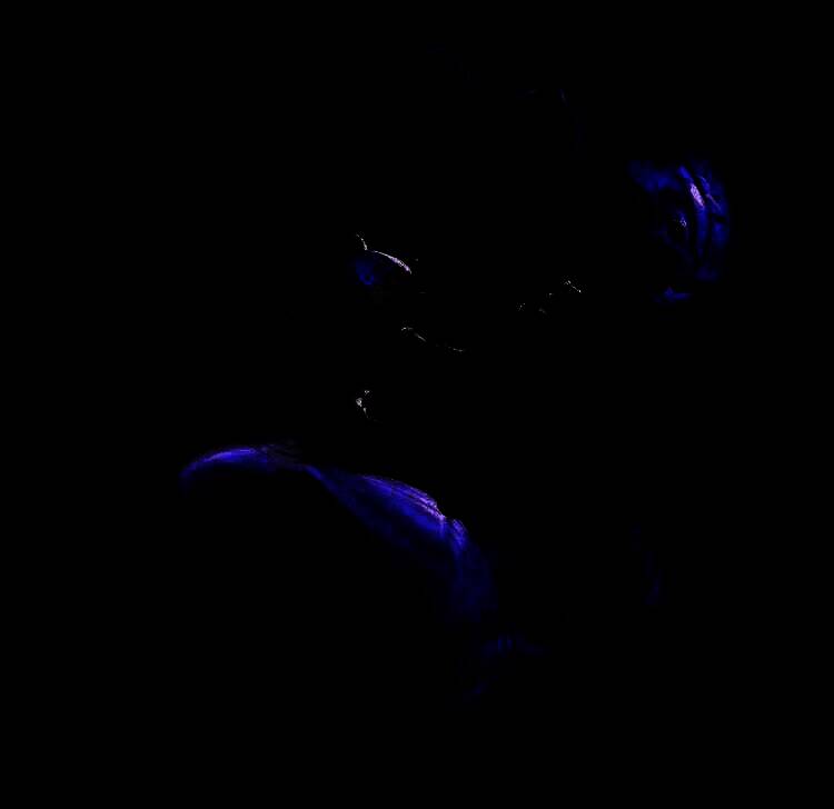 永岚游戏内建模展示，动作流畅、服饰细节精致