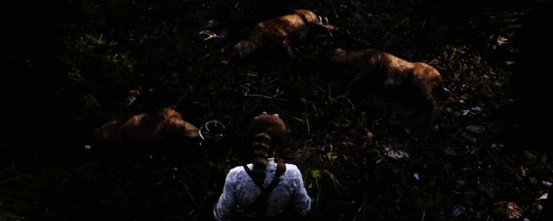 游戏中玩家角色手持弓箭瞄准远处猎物，周围环境为茂密森林