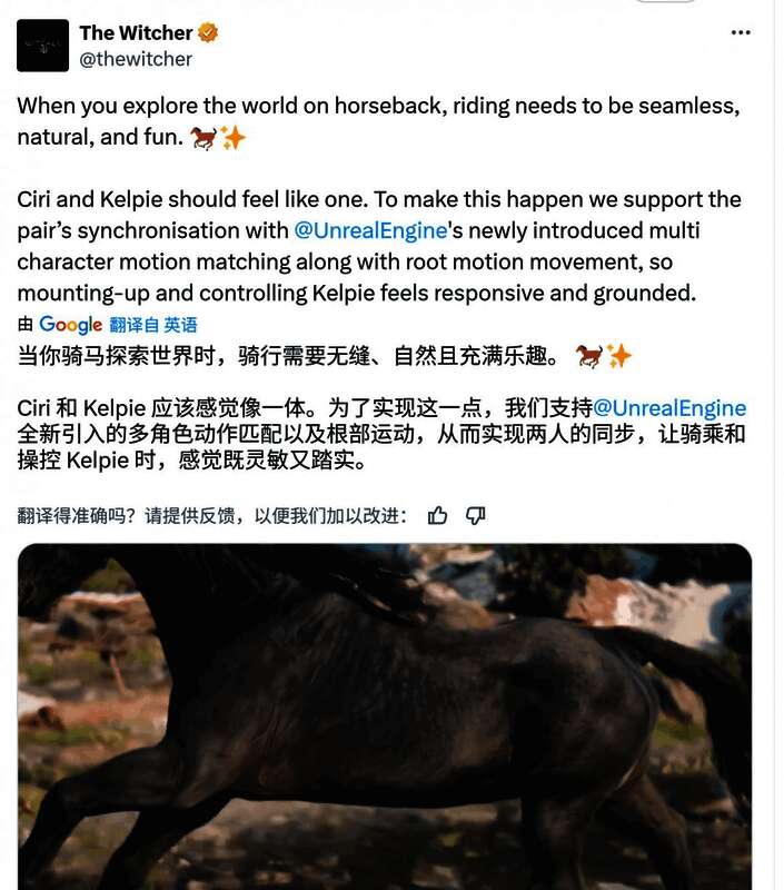 广袤无垠的森林区域，阳光透过密林形成斑驳光影效果