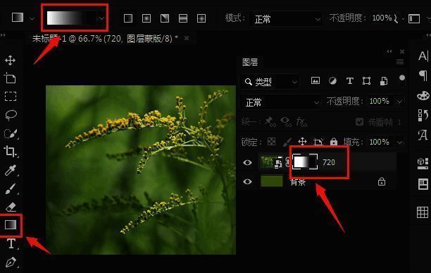 画布上显示出从左到右的黑白渐变蒙版效果，图片部分逐渐透明