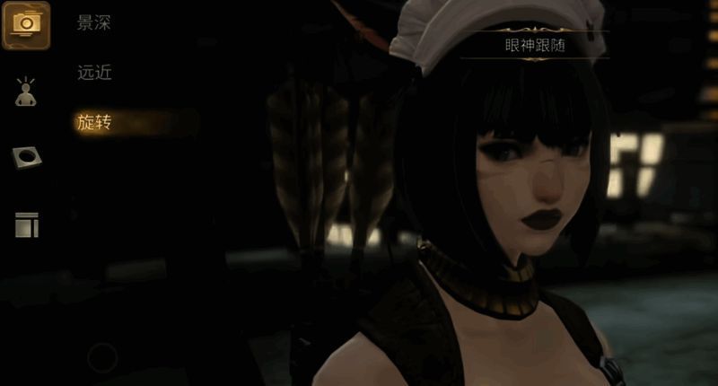 景深调节与镜头旋转设置界面截图，展示各项参数调整后的视觉效果差异