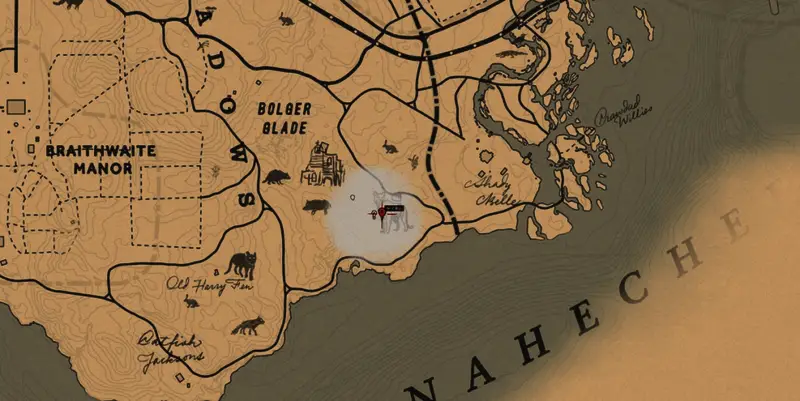 最终对决，角色迎战传说级山狮贾古阿罗