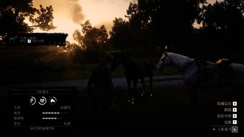 角色站在原地按下快捷键，远处马匹迅速奔腾而来