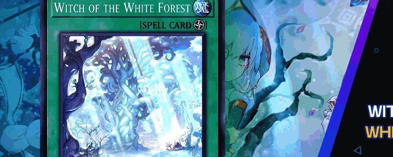 游戏王MD中完全体白森卡组的卡牌展示，包含核心怪兽与场地魔法卡