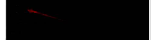 设置界面通用选项卡展示，重点标注隐藏光标选项