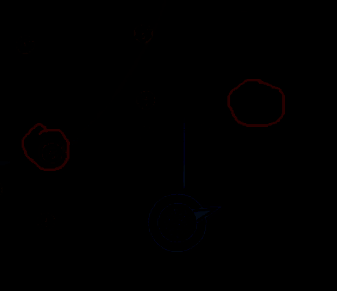 艾尔登法环黑夜君临腐败森林另一庇护点位置展示